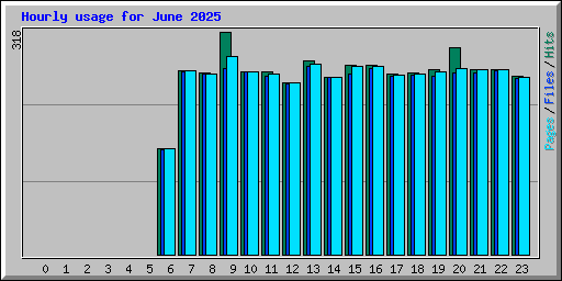 Hourly usage for June 2025