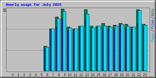Hourly usage for July 2025