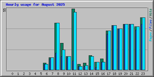 Hourly usage for August 2025