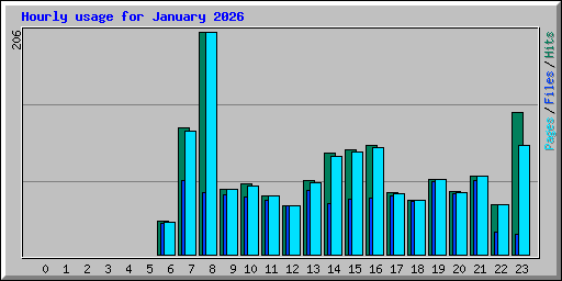 Hourly usage for January 2026